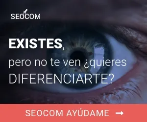 300x250