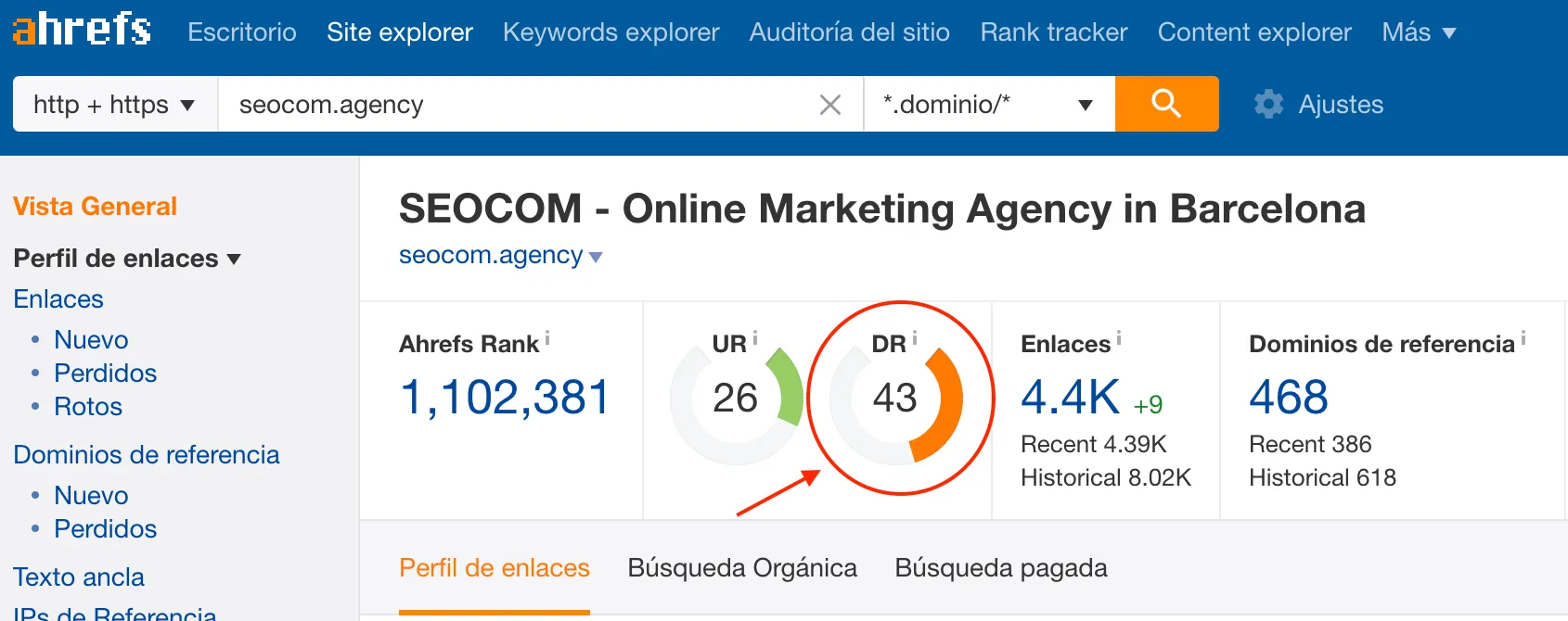 Domain Rating Ahrefs