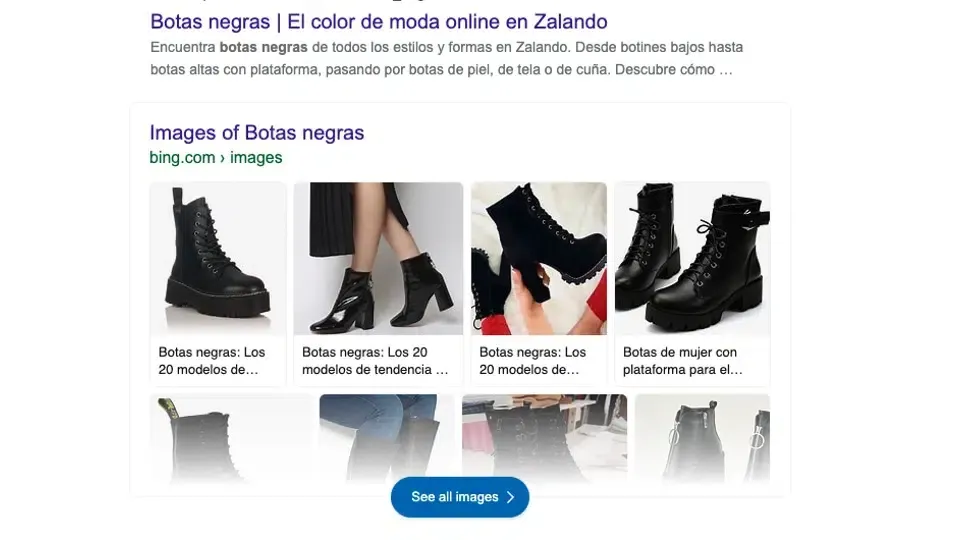 SERPs de Bing por consulta 22Botas Negras22