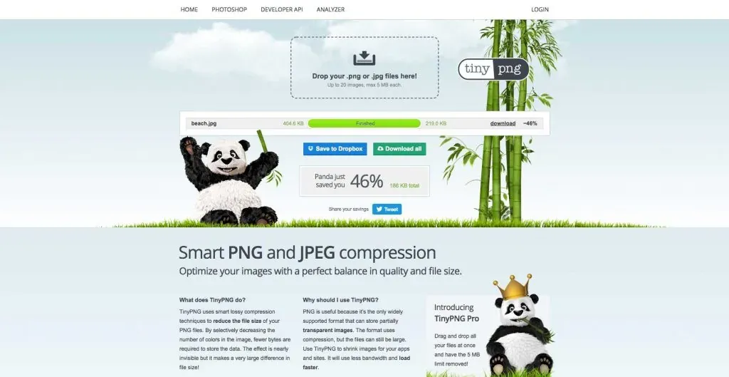 Optimizar en TinyPNG