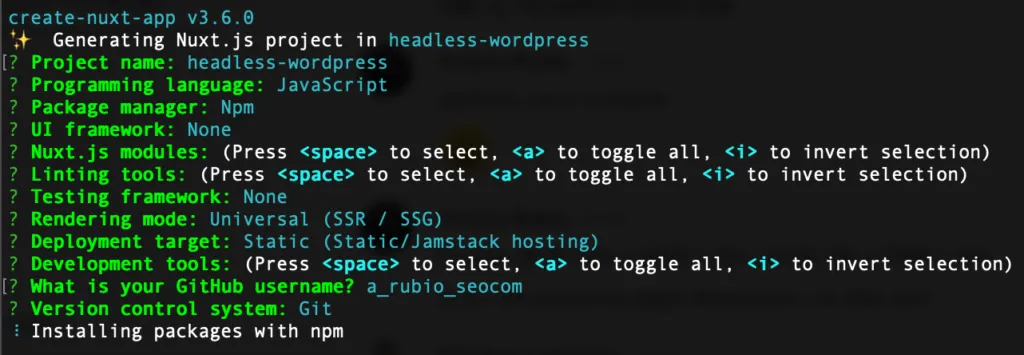 Asistente de configuración inicial de un proyecto Vue Nuxt headless