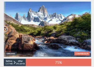 optimización imagen ejemplo