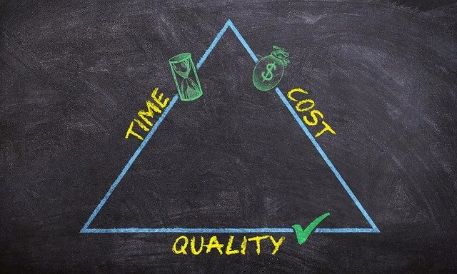 Project Management success