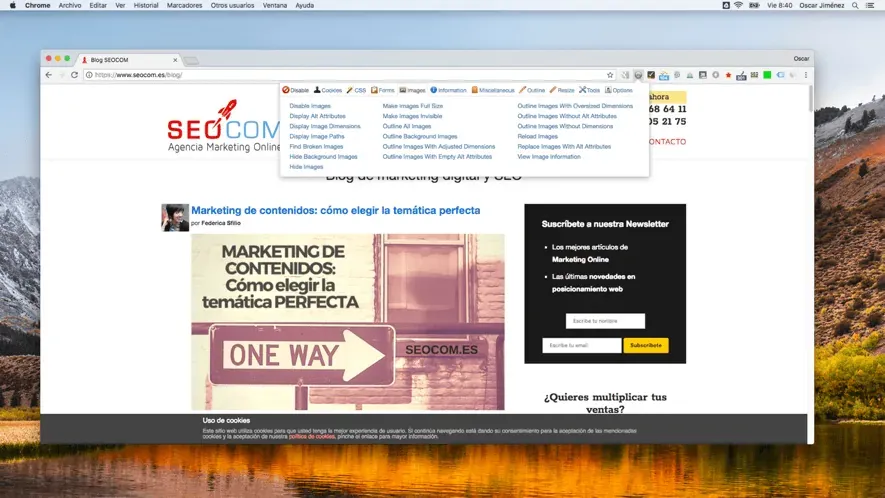 web developer